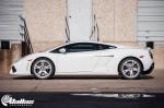 Lamborghini Gallardo Twin Turbo by Dallas Performance 2014 года